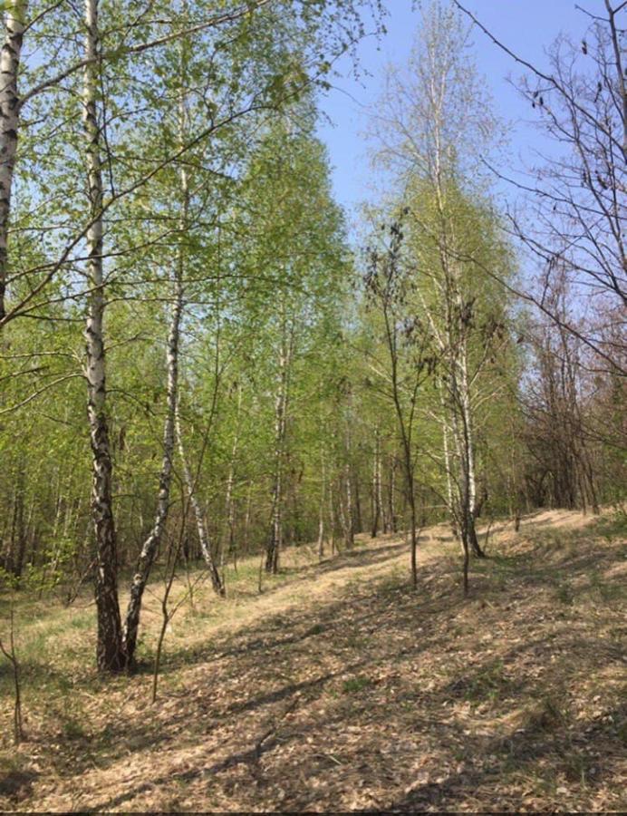 Rzhyshchiv Дом Для Отдыха В Лесу מראה חיצוני תמונה